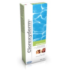 CLOREXIDERM SHAMPOO 250 ML