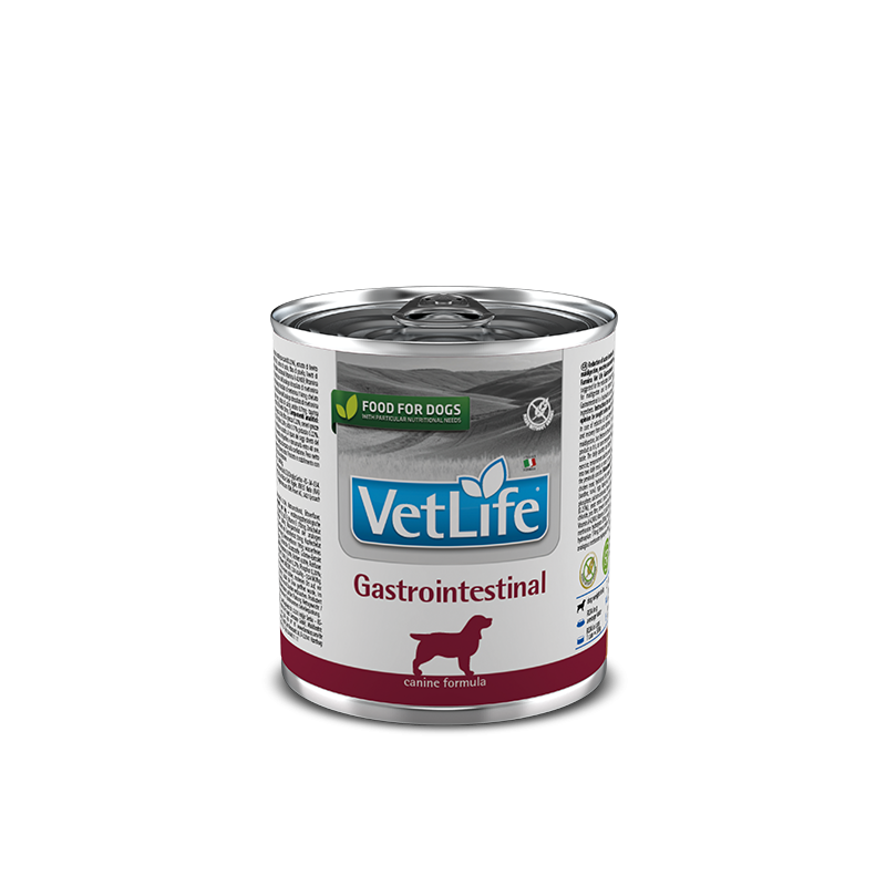 VET LIFE DOG GASTROINTESTINAL GR 300 LATTINA