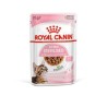 royal cat kitten sterilised gr 85 bustina