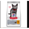 hill's fel sterilised kitten al pollo  kg 1,5 