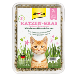 ERBA GATTO KATZEN GRAS GR 150