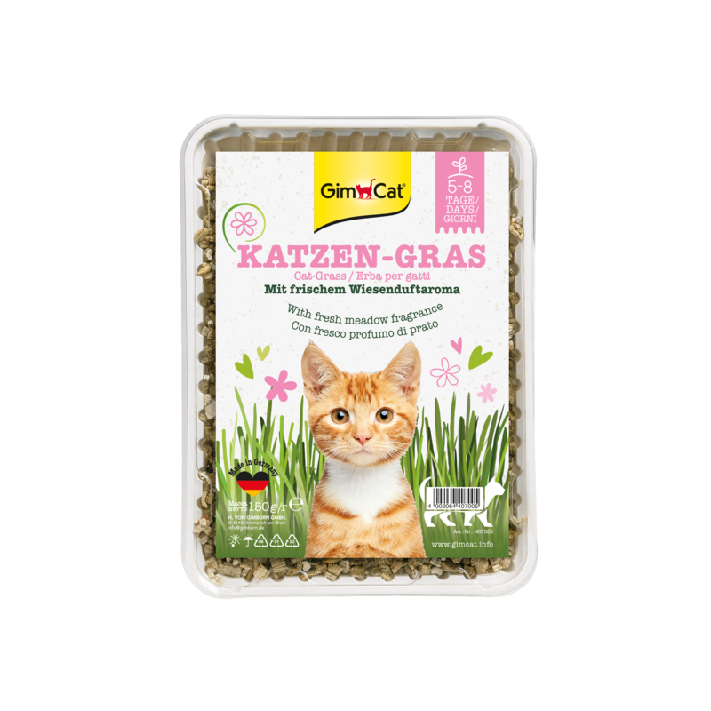 ERBA GATTO KATZEN GRAS GR 150