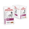 Royal dog renal 12x100 gr bustina in salsa 