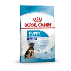 Royal dog puppy maxi kg 10