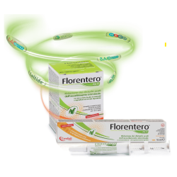 FLORENTERO ACT 36 GR  30 CMP