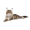 Royal cat Main coon adult gr 400