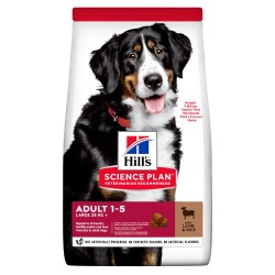 HILL'S CAN ADULT LARGE LAMB&RICE KG 12