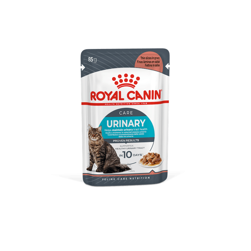 ROYAL CAT URINARY CARE GR 85 BUSTINE IN SALSA