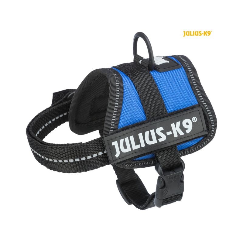 julius k9 baby 2 blu tx 150002