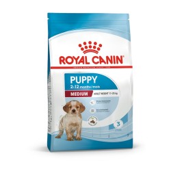 Royal dog medium puppy kg 10