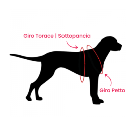 Pettorina flash onix europa xl 