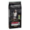 Pro plan dog medium adult agnello kg 14