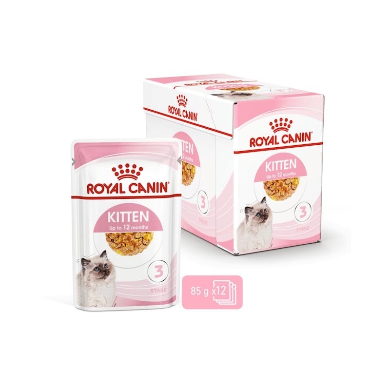 ROYAL CAT KITTEN GR 85 BUSTINA IN JELLY