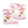 ROYAL CAT KITTEN GR 85 BUSTINA IN JELLY