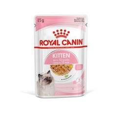 ROYAL CAT KITTEN GR 85 BUSTINA IN JELLY