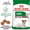 Royal dog mini ageing 12+ gr 800