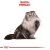 ROYAL CAT ADULT PERSIAN KG 4