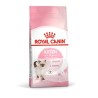 ROYAL CAT KITTEN 36 KG 2