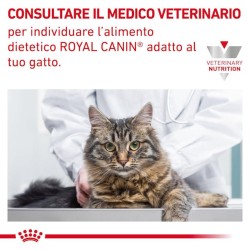 Royal cat gastrointestina hairball gr 400