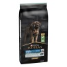 Pro plan dog adult 2+ large robust agnello kg 14