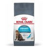 Royal cat urinary care gr 400