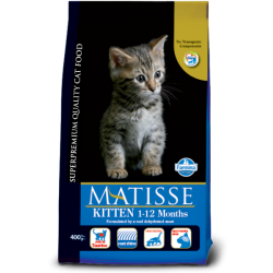 MATISSE KITTEN KG 10