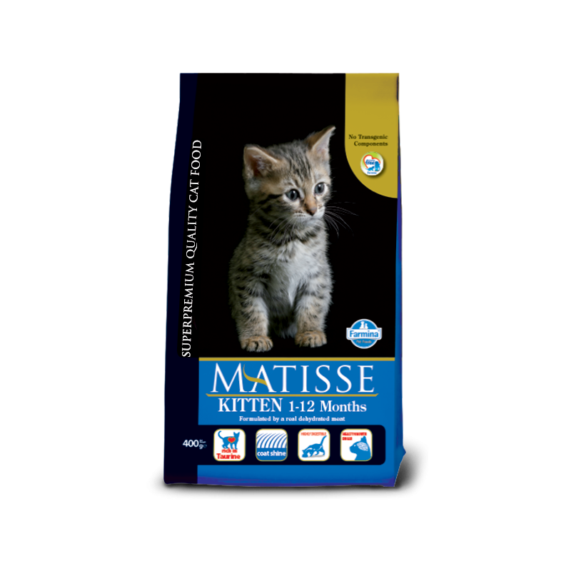 MATISSE KITTEN KG 10