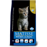 MATISSE KITTEN KG 10