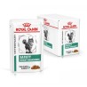 Royal cat Satiety bustina gr 85