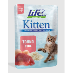 Life cat kitten tonno...