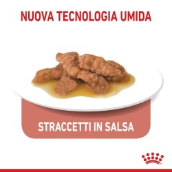 Royal cat indoor gravy bustina 85 gr