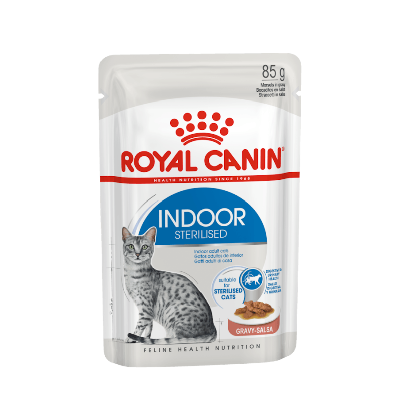 Royal cat indoor gravy bustina 85 gr