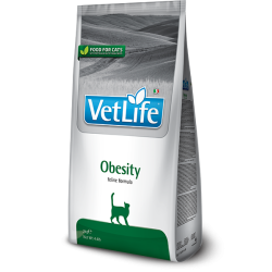 VET LIFE CAT OBESITY KG 2