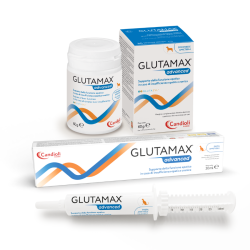 Glutamax 60 gr (30 compresse)