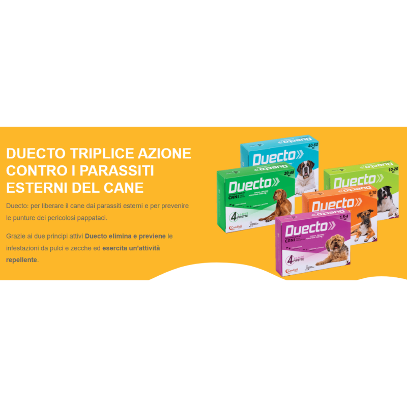 Duecto spot on cani 1,5-4 kg (4 pipette)