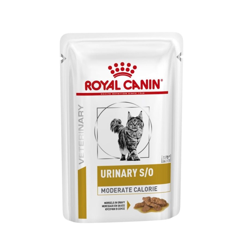 ROYAL CAT URINARY MODERATE CALORIE 12 X 100 GR