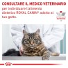 ROYAL CAT ANALLERGENIC KG 2