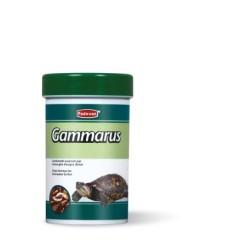 GAMMARUS 1 LT PADOVAN