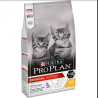 PRO PLAN CAT KITTEN KG 1,5