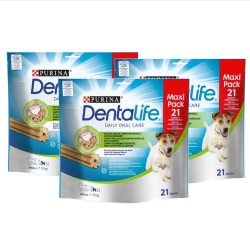 DENTALIFE SMALL BIG PACK 18X49 GR