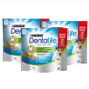 DENTALIFE SMALL BIG PACK 18X49 GR