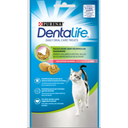 PURINA DENTALIFE GATTO SALMONE GR 40