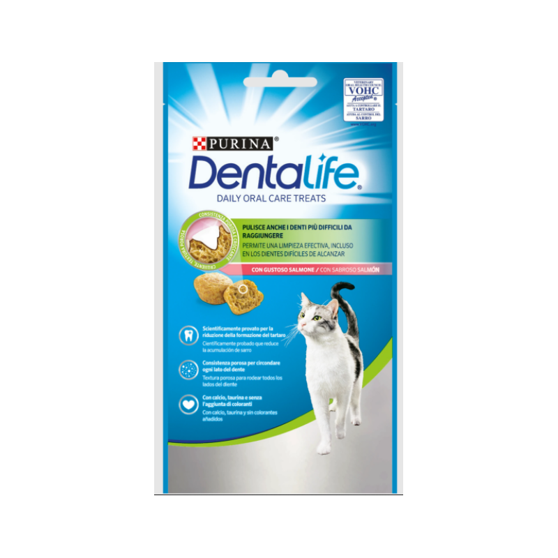 PURINA DENTALIFE GATTO SALMONE GR 40