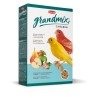 GRANDMIX CANARINI KG 1