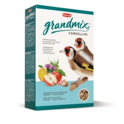 GRANDMIX CARDELLINI GR 800