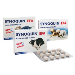 SYNOQUIN EFA LARGE 30...