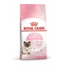 ROYAL CAT BABY KG 2